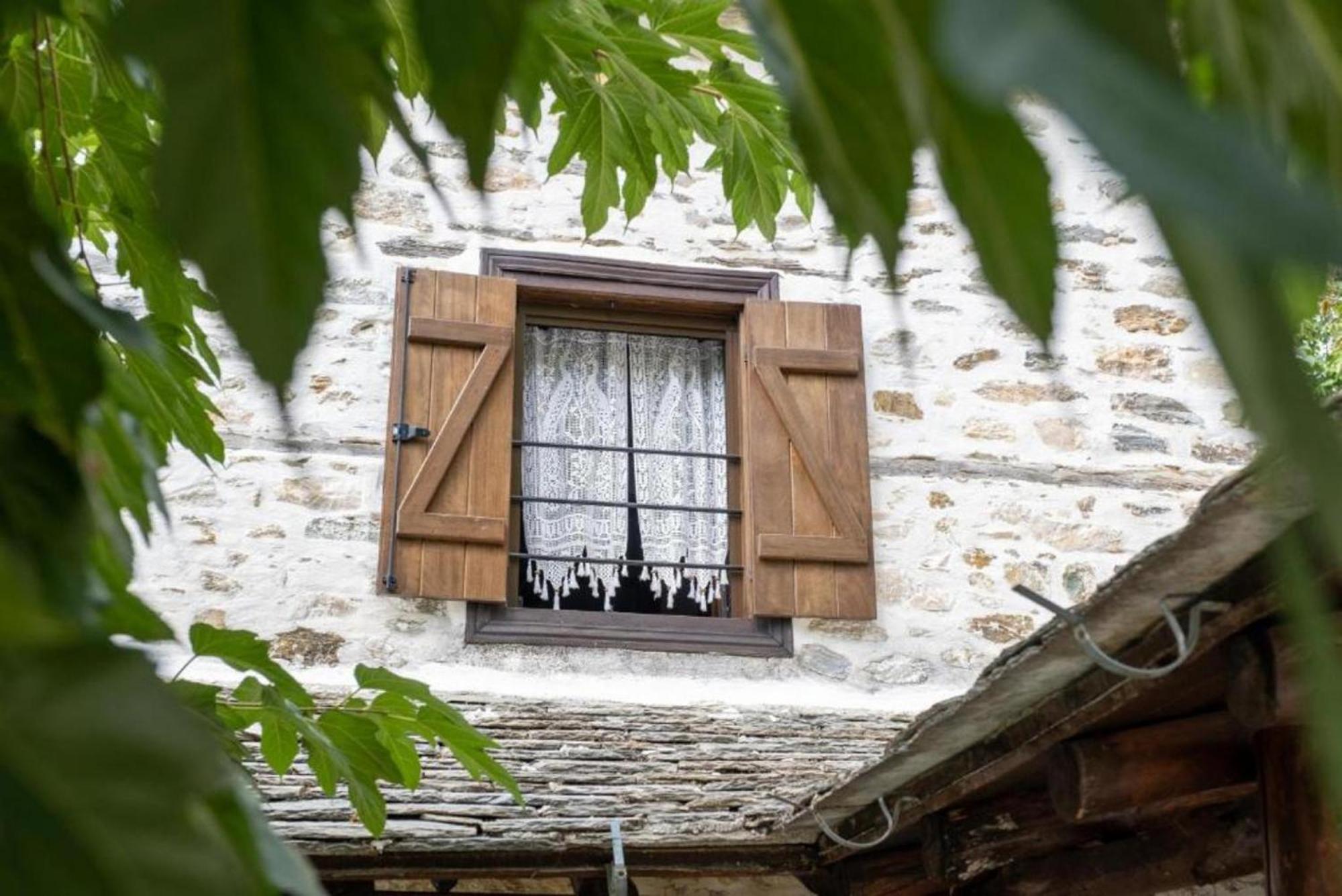 Aparthotel Archontiko Michael Pelion Vizítsa Exterior foto